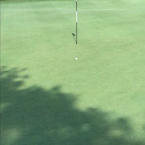 Meet your Posher, Shawn